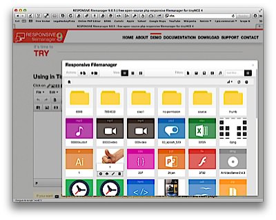 responsive filemanager tinymce integration